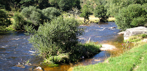 peche truite truyere