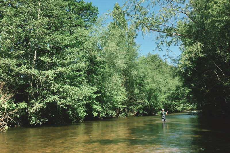 Stage et Séjours de pêche à la Mouche - Lozère Pêche Mouche