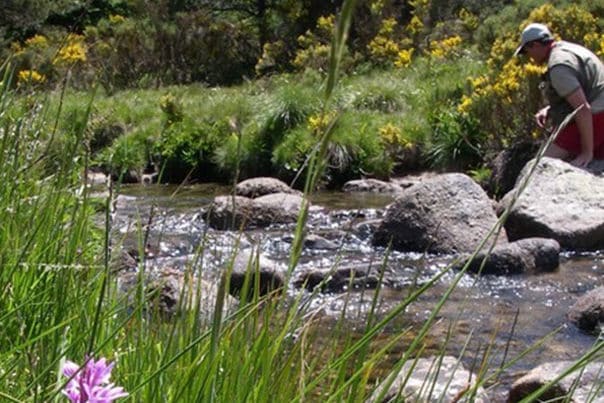 Lozere Peche Mouche - Stage et séjours de pêche en Lozère et à l'étranger